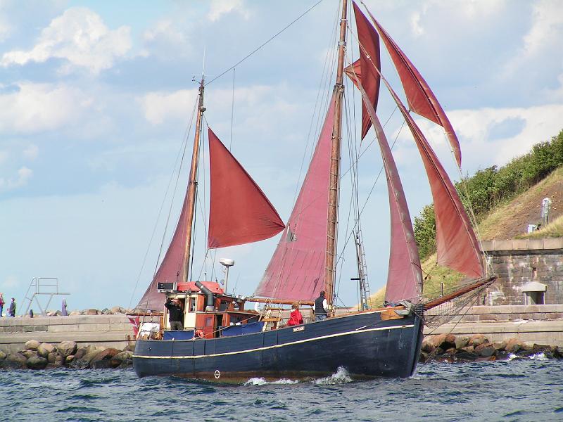 08 05 415.JPG